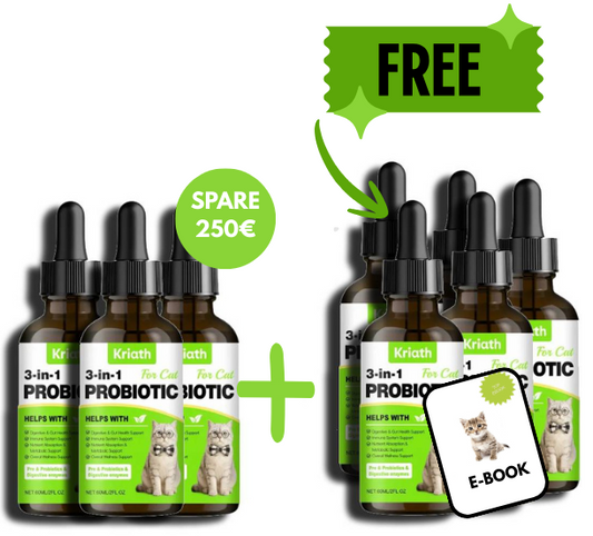 SPARE (5).png__PID:788dfcd7-4e7a-4a92-883a-a4f6714ef0b3