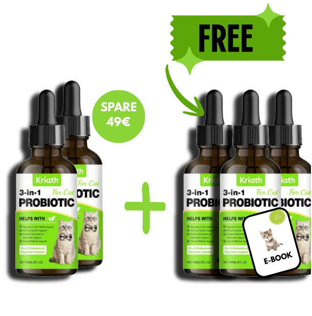 SPARE (6).png__PID:2c5dd49a-a899-49e1-b375-f82f60fbfda2